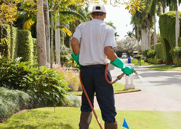 About Stevenson Ranch CA Pest Control Pros
